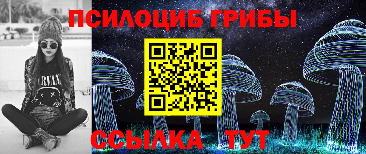 Муром  Псилоцибиновые грибы прущие грибы  Вход с VPN  Псилоцибиновые грибы GOLDEN TEACHER 
